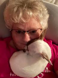 What can I do to stop my dad's 6-month-old puppy from peeing in the truck?