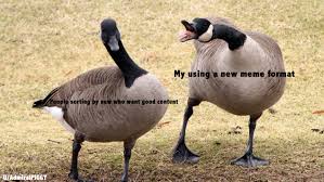 Geese Are The Superior Format Memes