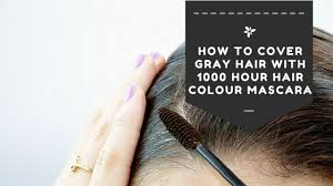 I have about 50% of gray hair which is a curse and a blessing! 14 Touch It Up Ideas Hair Mascara Cover Roots Mascara