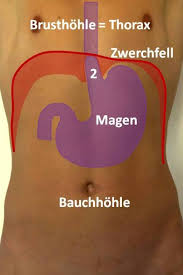 Reflux Op Und Zwerchfellbruch Op In Nurnberg Klinik Hallerwiese De