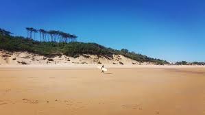 Holidays Vocabulario Para Hablar De Las Vacaciones En Ingles Vacaciones En Ingles Vocabulario Vacaciones