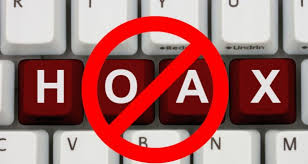 Image result for hoax