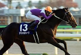 で結局スペシャルウィークとグラスワンダーってどっちが強いの