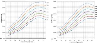 The Percentile Curves Of Birth Weight By Gestational Age For