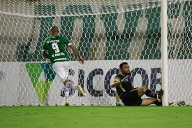 Assistir marcílio dias x chapecoense ao vivo grátis. Catarinense Assista Ao Gol De Chapecoense X Marcilio Dias