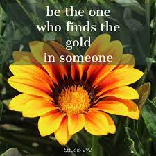 Yellow With Orange Gaillardia Or Blanket Flower Tulips Quotes Flower Quotes Hello Happiness