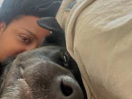 Eleanor (@eleanoftroy) • Instagram photos and videos