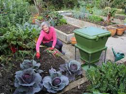 Hungry bin is designed to receive maximum aeration. Hungry Bin Flow Through Worm Farm Uncle Jim S Worm Farm