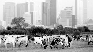 Farmers Revolt In The Populist Era | Us History Ii (Os Collection)