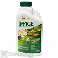 Unfortunately, the only way to really get nutsedge that has invaded a tall fescue lawn under control is through the application of good cultural practices for the turf complimented with post emergent weed control. Can You Use Image Kills Nutsedge Concentrate On Fescue Lawns