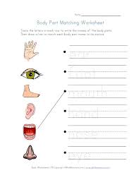 This first body parts worksheet is great for teaching body parts vocabulary in english. Body Matching Worksheet All Kids Network Kindergarten Addition Worksheets Kindergarten Worksheets Human Body Worksheets