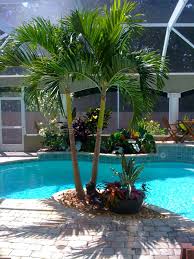 Pool Lanai Plantings Would Be Great For Pool Parties Backyard Pool Landscaping Tropical Pool Landscaping Inground Pool Landscaping