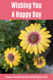Brighten someone's day with freshly handpicked flowers. Wishing You A Happy Day Virtual Flowers Happy Day Day Wishes