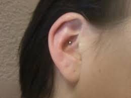 Anyone with inner conch piercing can you please tell me whether it is uncomfortable or not when you sleep hi, i saw that you have an inner conch piercing, and i just got on done today. Wonderful Silver Inner Conch Piercing Idea Picture For Girls Segerios Com