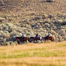 Big sky, montana is home to some of the most spectacular scenery in america, and more unparalleled outdoor recreation than a mere mortal could ever do. Horseback Riding Near Yellowstone Big Sky Bozeman