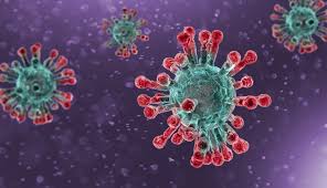 Coronavirus counter with new cases, deaths, and number of tests per 1 million population. Covid 19 Nps Medicinewise