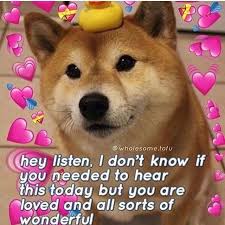 Instagram Post By You Re Too Cute Jun 26 2019 At 1 18am Utc Cute Love Memes Cute Memes Love Memes