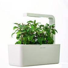 Indoor Herb Garden Kit Planter Led Grow Light Reusable Year Round No Pesticides Indoorherbgarden Herb Garden Kit Indoor Herb Garden Herbs Indoors