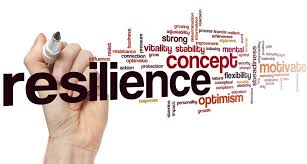 Cuando algo sale mal, ¿tienes tendencia a recuperarte o a desmoronarte? El Concepto De Resiliencia En La Gestion De Desastres