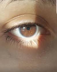My Eyes Under Sunlight Are The Streaks Light Brown Or Amber Eyes Ocular Human Eye