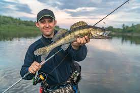 Ugly stik is famous it is a versatile combo that you can also use for fishing trout or landlocked salmon. Best Walleye Rods Off 76 Medpharmres Com