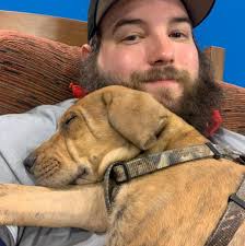 Merfolk deck Rhystic Study replacement