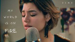 Image result for Bewsia