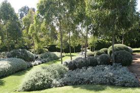 6 Spectacular Native Australian Gardens Kilby Park Tree Farm Australian Native Garden Australian Garden Australian Garden Design