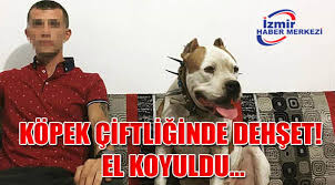 Kopek Ciftliginde Dehset El Koyuldu Gundem Izmir Haber Merkezi