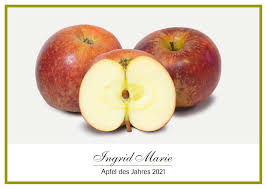 Er ist ein wesentlicher bestandteil der schwäbischen mostkulturgeschichte und stammt aus sulzgries bei esslingen. Pomologen Verein E V Posts Facebook