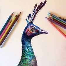 Maybe you would like to learn more about one of these? Vibrant Pencil Drawings Bursting With Color By Morgan Davidson Icanbecreative
