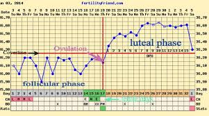 Basal Body Temperature Chart Bbt Chart For Ovulation