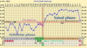 what a bbt chart should look like archives qi medicine