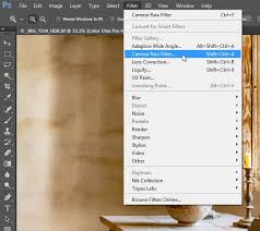 This feature is currently not supported in the camera raw filter in photoshop. Camera Raw Integration In Photoshop Cc Mike Hoffman Tipsquirrel