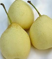 Apel termasuk jenis buah yang mengandung tinggi serat dan direkomendasikan untuk mama yang sedang hamil muda. Anim Agro Technology Khasiat Buah Pear Tahukan Anda