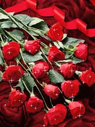 Roses Tumblr Beautiful Roses Roses Gif Beautiful Flowers