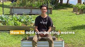 How to add worms to your garden. How To Add Composting Worms To Your Subpod Youtube