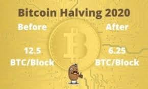 Bitcoin (btc) has historically risen before & after the halving/halvening in the macro. Bitcoin Halving 2020 Explained Everything You Need To Know Updated