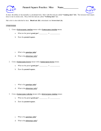 3 punnett square terms to learn. What Is The Genotype Of A Heterozygous Mouse