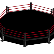 Octagon Ring Octagon Rings Wrestling Ring