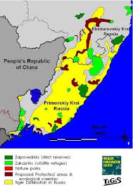 Amur Tiger Threats