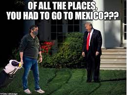 Brendan smialowski/afp via getty images. Twitter Goes Into A Frenzy With Ted Cruz Cancun Trip Memes Daily Mail Online