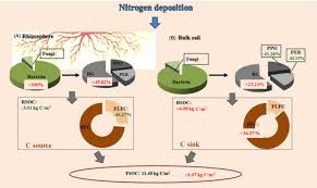 As it will help them calculate their probable scores and even raise objections to the answers, kcet. Differential Impacts Of Nitrogen Addition On Rhizosphere And Bulk Soil Carbon Sequestration In An Alpine Shrubland Zhu 2020 Journal Of Ecology Wiley Online Library