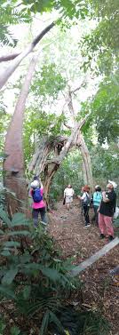Nature And Us Exploring Physical And Human Geography And Understanding The Interrelationship Between Nature And Us