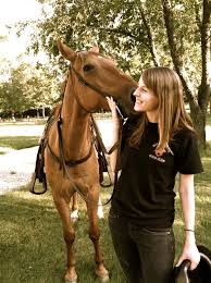 Jeb The Most Well Behaved Horse Horses Cute Animals Pets