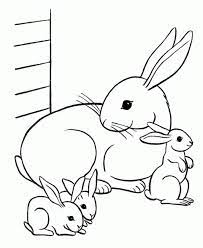 These coloring pages are ideal for toddlers because of their simplicity. Free Printable Rabbit Coloring Pages For Kids Bunny Coloring Pages Family Coloring Pages Rabbit Colors