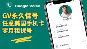 2024年Google Voice谷歌电话转永久号码教程，美国手机号码转零月租教程，两种方法让你轻松搞定