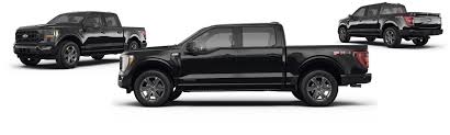 Image result for Arizona Beige 2023 Ford Truck