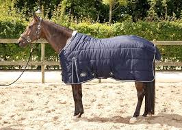 Horse Blankets For Sale Caughtintime Info