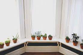 It has 4 panels to offer a symmetrical pleasure. 20 Unforgettable Indoor Plant Displays Ideas Plant Decor Indoor Decorating A Bay Window Indoor Plants